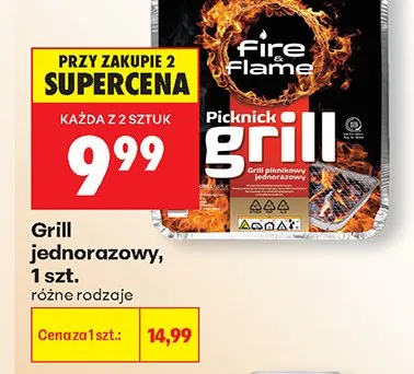 Grill jednorazowy Picknick Fire & Flame promocja w Biedronka
