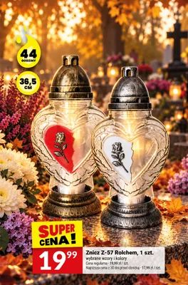 Znicz Z-57 Rolchem promocja w Twój Market