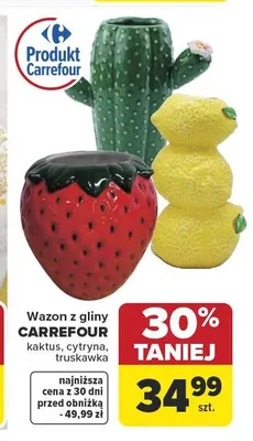 Wazon z gliny kaktus CARREFOUR promocja w Carrefour