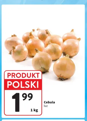 Cebula polska promocja w Intermarche
