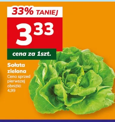 Sałata zielona promocja w Hitpol