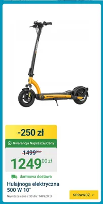 Hulajnoga elektryczna Hikerboy 500W 10" promocja w ERLI