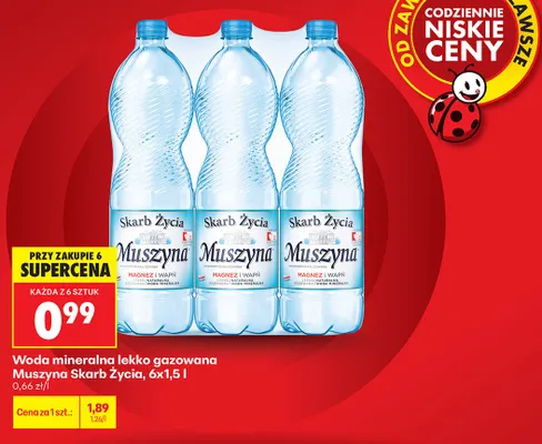 Woda mineralna lekko gazowana Muszyna Skarb Życia promocja w Biedronka