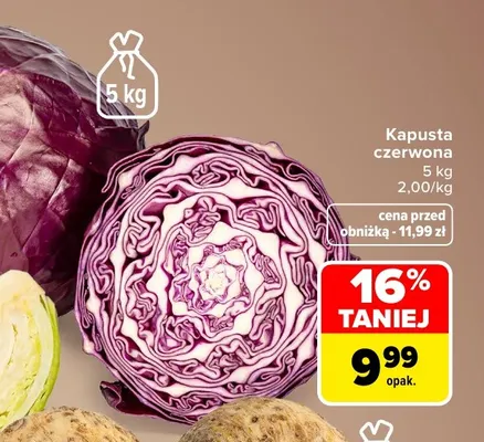 Kapusta czerwona promocja w Carrefour