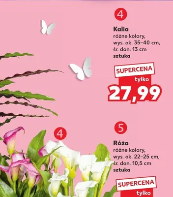Kalia promocja w Kaufland