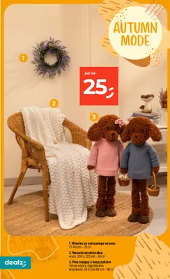 Pies stojący z koszyczkiem promocja w Dealz