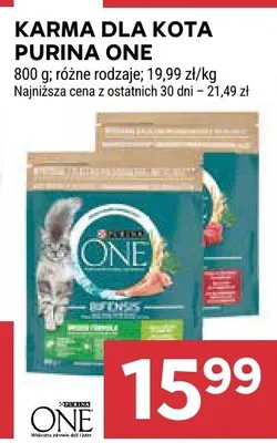 Karma dla kota promocja w Stokrotka