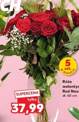 Róże walentynkowe Red Naomi promocja w Kaufland
