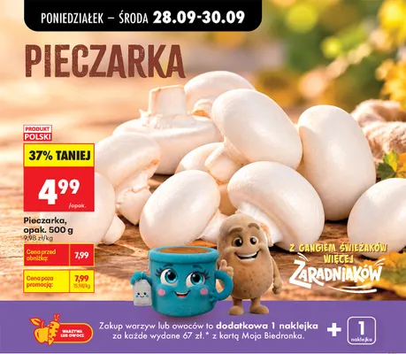 Pieczarka promocja w Biedronka