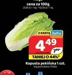Kapusta pekińska promocja w Delfin