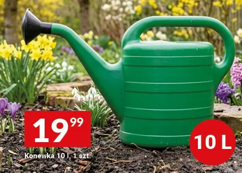 Konewka 10l promocja w Twój Market