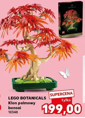 Klon palmowy bonsai promocja w Kaufland