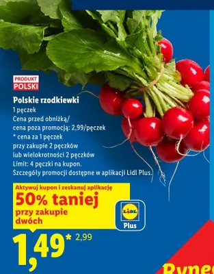 Polskie rzodkiewki promocja w Lidl