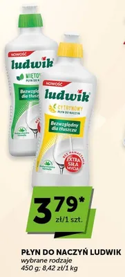 Płyn do naczyń Ludwik miętowy promocja w Groszek