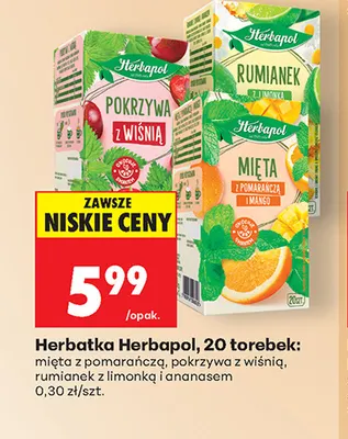 Herbatka Herbapol mięta z pomarańczą promocja w Biedronka
