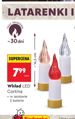 Wkład LED Cortina promocja w Biedronka
