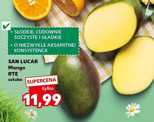 Mango RTE sztuka promocja w Kaufland