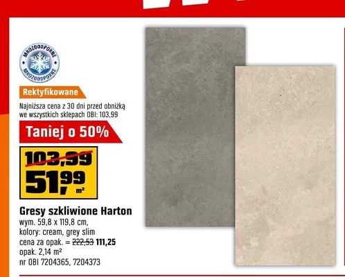Gres szkliwiony Harton grey slim promocja w OBI