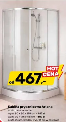 Kabina prysznicowa Ariana promocja w Bricomarche