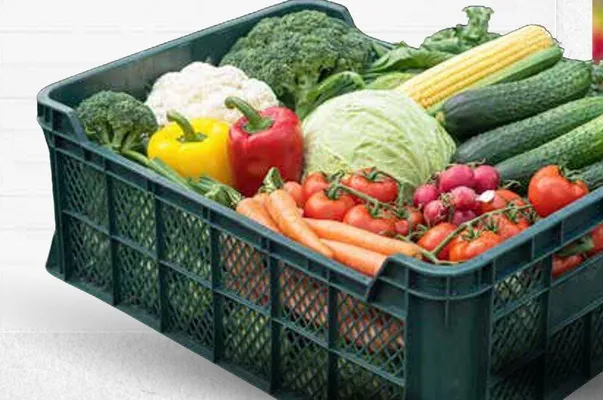 Katalog ogród, strona 127 promocja w Bricomarche