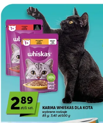 Karma dla kota Whiskas promocja w Groszek