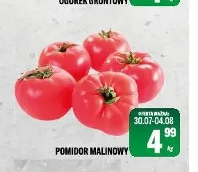 Pomidor malinowy promocja w Tomi Markt