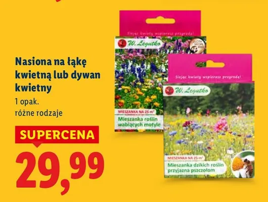 Nasiona na łąkę kwietną lub dywan kwietny, różne rodzaje promocja w Lidl