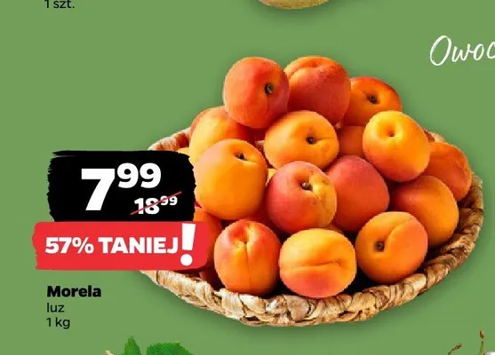 Morela luz promocja w Netto