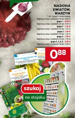 Nasiona kwiatów, warzyw promocja w Stokrotka