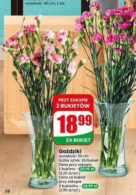 Goździki promocja w Dino