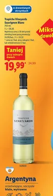 Wino Trapiche Vineyards Sauvignon Blanc promocja w Lidl
