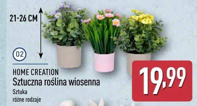 Sztuczna roślina wiosenna promocja w Aldi