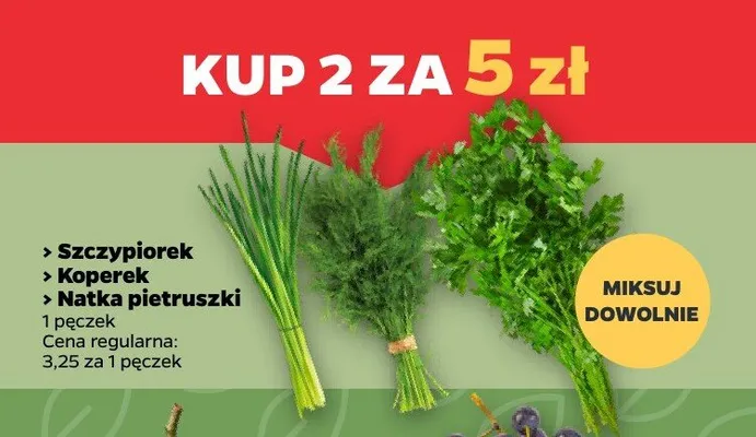 Natka pietruszki promocja w Netto