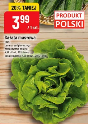 Sałata masłowa polska promocja w POLOmarket