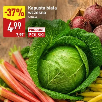 Kapusta biała wczesna polska promocja w Aldi