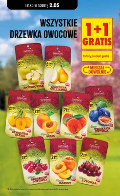 Wiśnia Łutówka Gartenland polska promocja w Biedronka