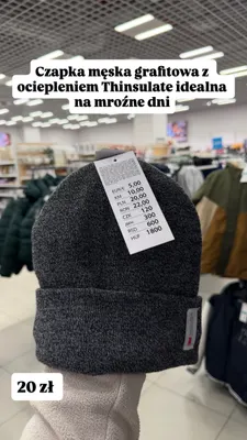 Czapka męska Thinsulate grafitowa promocja w Pepco