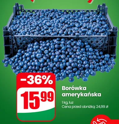 Borówka amerykańska promocja w Dino