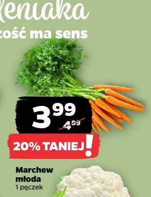 Marchew młoda promocja w Netto