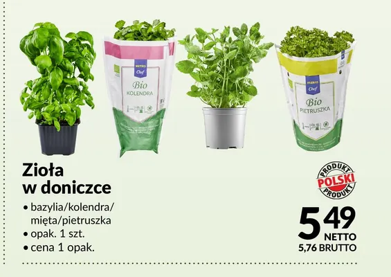 Zioła w doniczce bazylia promocja w Makro