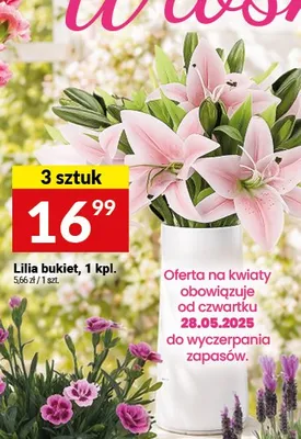 Lilia bukiet 3-pak promocja w Twój Market