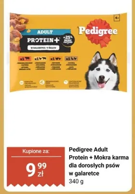 Karma dla psów mokra Pedigree Adult Protein+ w galaretce promocja w Biedronka