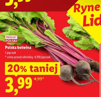Burak polska promocja w Lidl