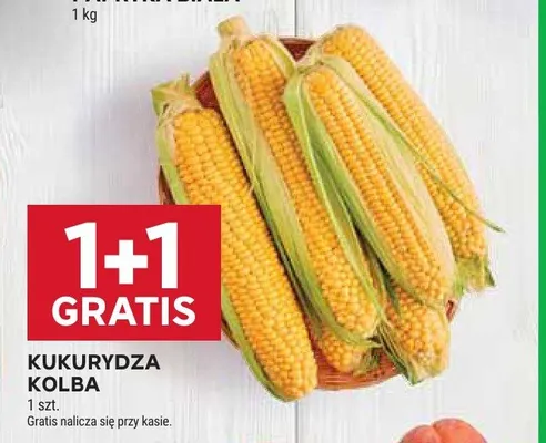 Kukurydza kolba promocja w Stokrotka