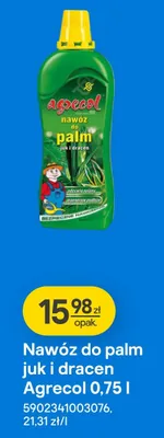 Nawóz do palm juk i dracen Agrecol promocja w Castorama