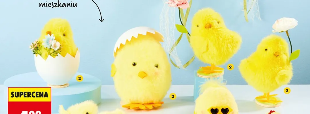 Kurczaczek 14-17 cm promocja w Biedronka