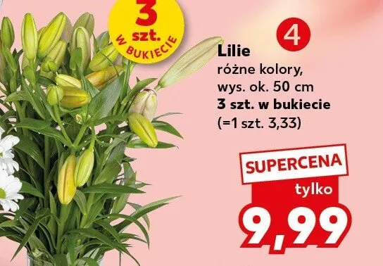 Lilie wys. ok. 50cm 3szt. w bukiecie promocja w Kaufland