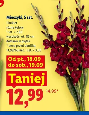 Mieczyki 5-pak promocja w Lidl