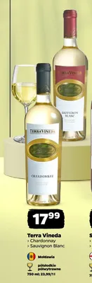 Wino białe Terra Vineda Chardonnay promocja w Netto