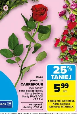 Róża premium promocja w Carrefour Market